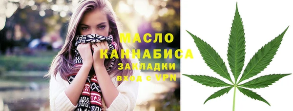 индика Покачи