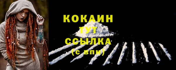 индика Покачи