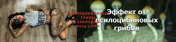 индика Покачи