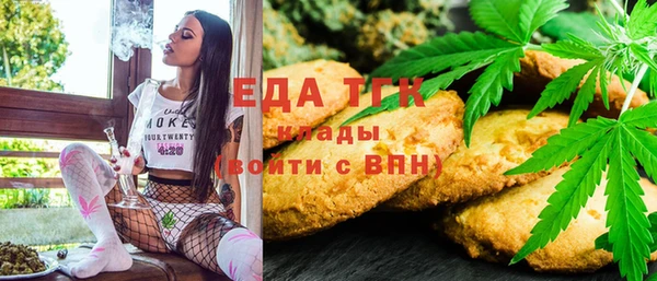 индика Покачи