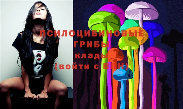 индика Покачи