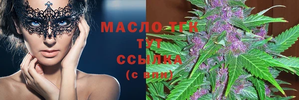 индика Покачи
