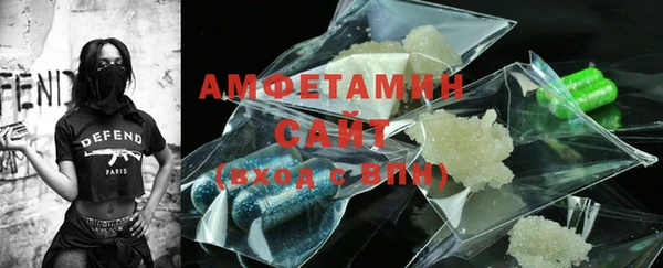 индика Покачи