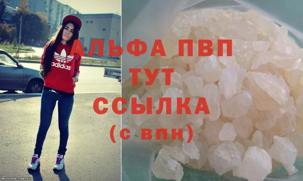 индика Покачи