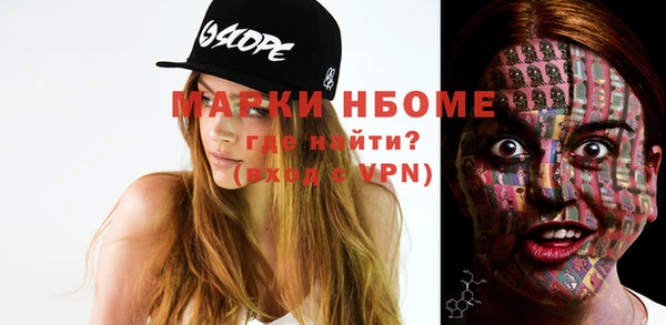 индика Покачи