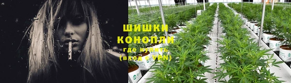 индика Покачи