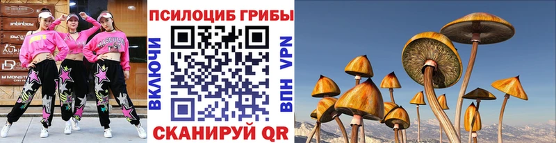 Галлюциногенные грибы GOLDEN TEACHER Купить Советская Гавань